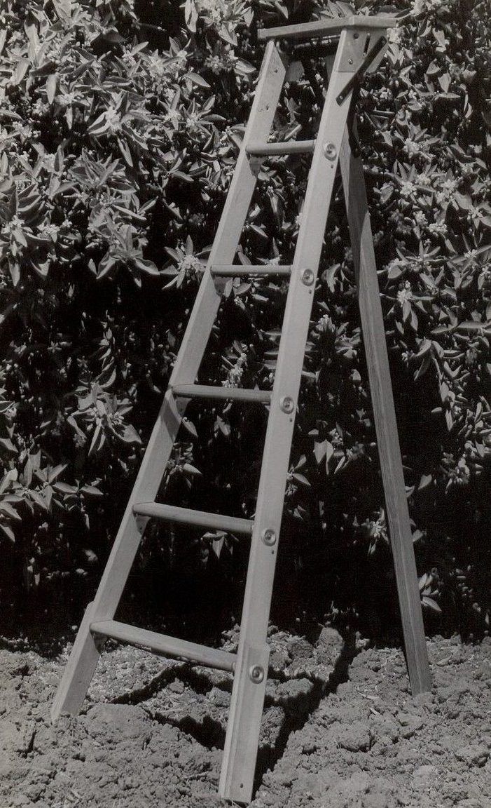 Wood Tripod Strathmore Ladder