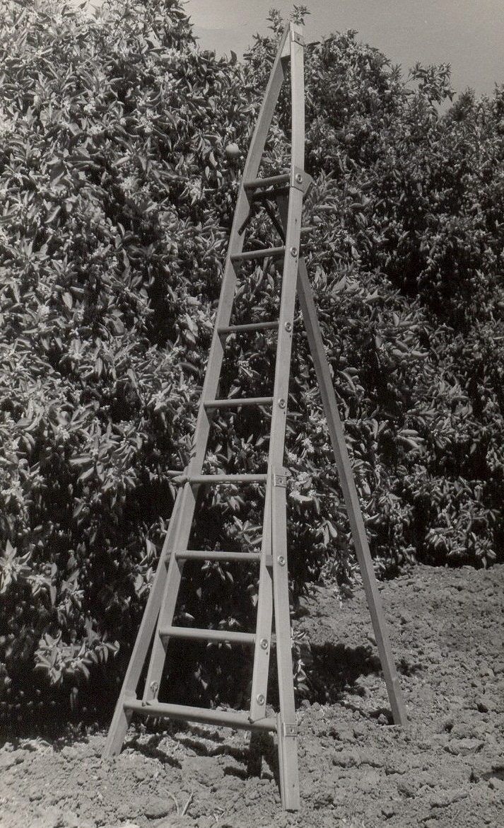 Wood point top tripod Strathmore Ladder
